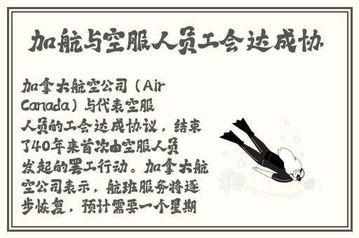 凸凹视频分类视频